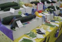 Produce Entered in the Boundary County Fair