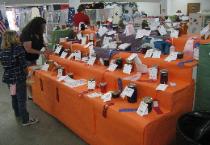 Fairgoers Enjoy the Canning Display at the Fair