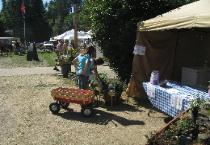 Watering Plant Displays at the Fair