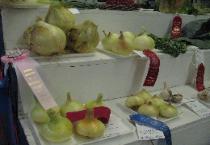 Award Winning Onions