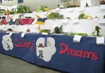 More Award Winning Entries