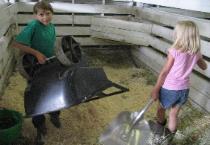 Cleaning Out the Stall